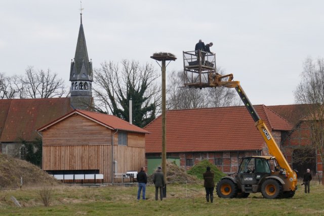 2018 Storchennestbau